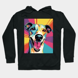 Colorful Cartoon Galgo Espanol Greyhound Spanish Hoodie